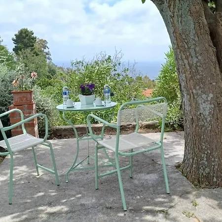 度假居 The Arch House *